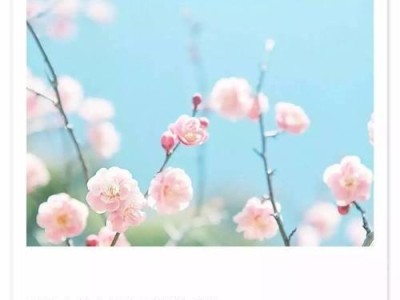 经典句子挽回爱情指南（用经典句子重拾你的爱情，从而彼此更加深爱）