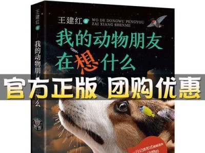 女孩最想要的是什么？（探究女孩内心最深处的渴望与期待）
