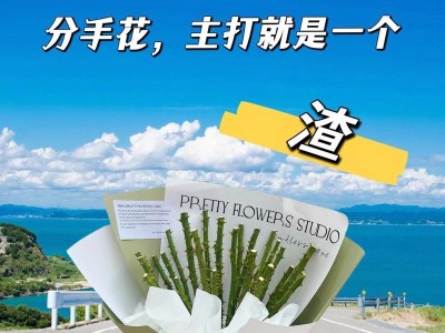 重拾自我，告别过往——打造完美分手仪式（以分手仪式感要干点什么，让爱情完美谢幕）