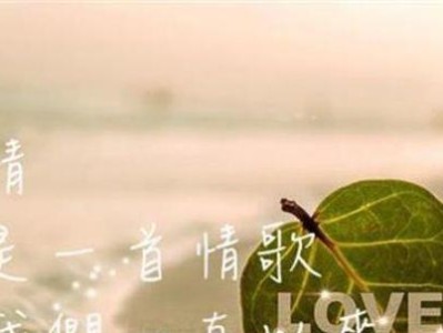 如何用短信挽回女友？（分手后的道歉、反思和重建）