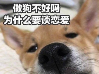 单身中的你，是否适合谈恋爱？（探寻单身者适宜谈恋爱的关键因素）