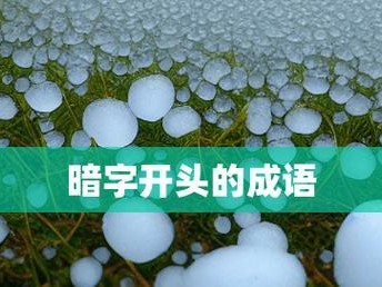 时间倒流的成语（用成语感受时光倒流的魅力）