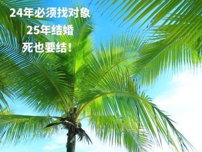 解密过年不再被催婚的5步骤（快速找到对象，告别单身狗的噩梦！）