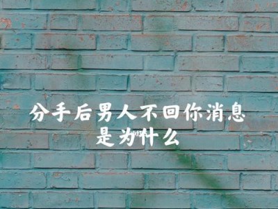挽回客户，扭转已读不回的局面（高效的方法和技巧，让您的客户再次回归）