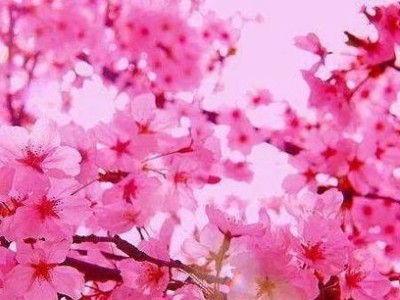 三大星座桃花运爆棚，谁才是真正的爱情王者？