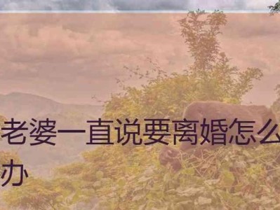 离婚已在诉讼中，挽回还有必要吗？（感情的追求和理智的判断，哪个更重要？）