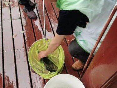 分手后大放生（分手后如何重新得到对方的青睐？——从正确的心态和行动入手）