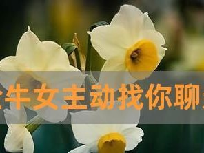 掌握聊天技巧，让你更容易赢得TA的青睐（掌握聊天技巧，让你更容易赢得TA的青睐）