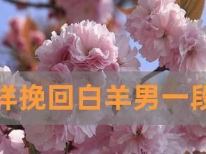 和白羊男吵架了怎么办？挽回技巧大揭秘（教你如何用温柔的方式化解矛盾、让白羊男重新爱上你）
