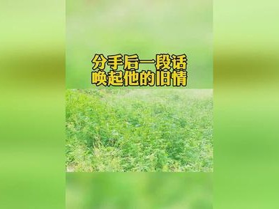分手之后的挽回计划（如何挽回失去的爱情？——一份针对分手后挽回的指南）
