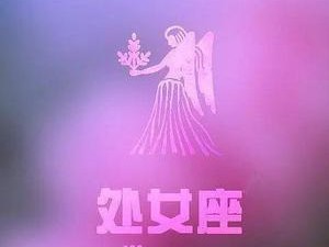 处女座的最佳配对星座（揭秘处女座的最佳爱情对象及相处之道）