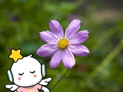 命运的轮回（挽留不住的过去，接受未来的到来）