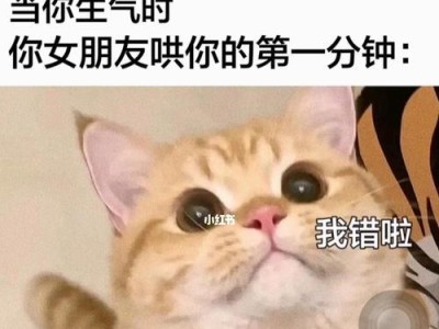 如何处理男友对你不信任的情况（当不信任带来的生气无法缓解时，你该怎么办？）