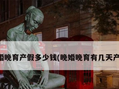什么是晚婚晚育