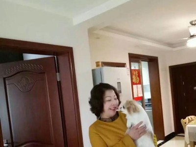 情侣相处的宝典——难以忘记的收藏（15个段落，教你如何维系健康的恋爱关系）