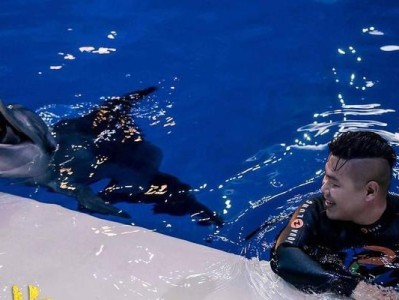 重回心上人的怀抱（以细心温暖再次征服心上人）