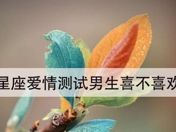 揭秘你的男神类型（以测试一下你喜欢哪种类型的男生为主题）